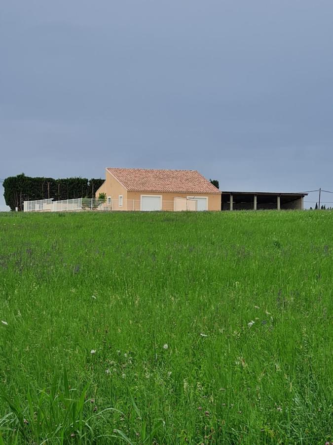 Paquerette Villa Arles Dış mekan fotoğraf